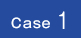 case1