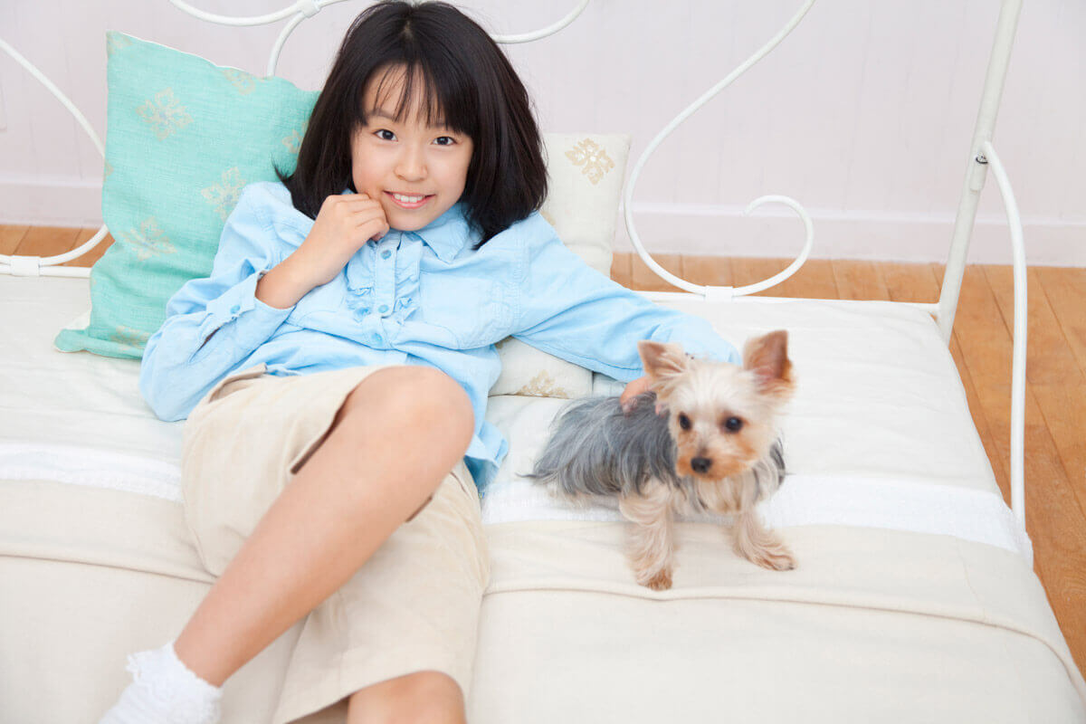 ヨークシャーテリアと笑顔の女の子